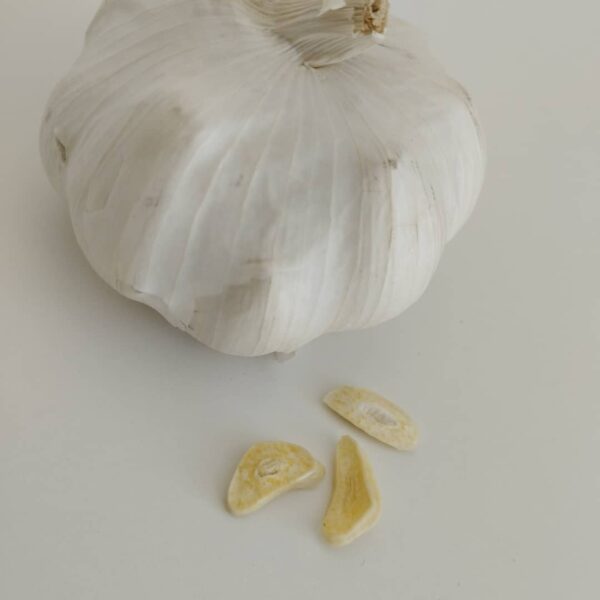 Luna : Palo Santo Ail